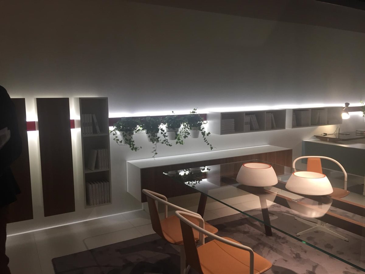 44565533_1853756104677520_5128630416772694016_o