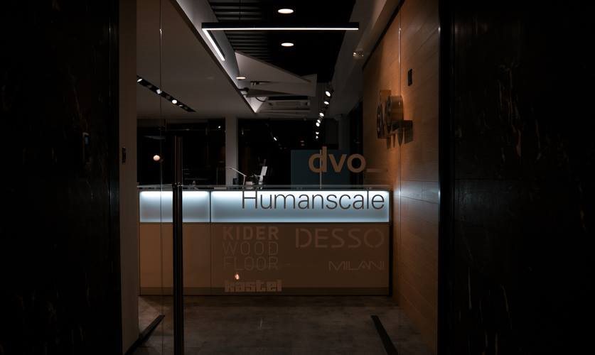 53064279_448085092610460_6857228739072229376_n