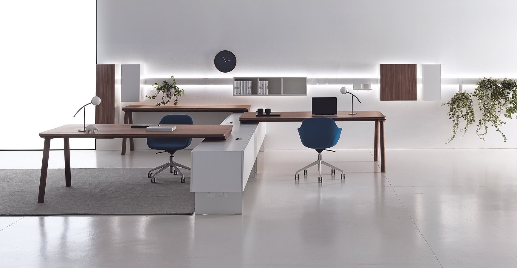 DVO_DV504-MiloDV911-Noto_01