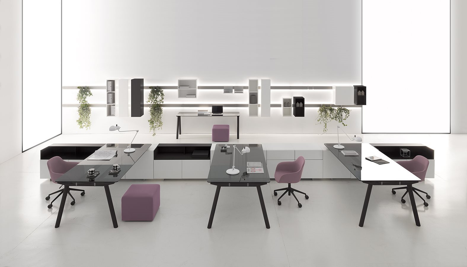 DVO_DV504-MiloDV911-Noto_05