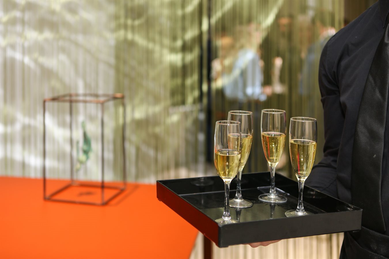 I93B3754DVO-Salone2024-GretaGandini